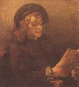 REMBRANDT Harmenszoon van Rijn Titus Reading (mk33) oil on canvas